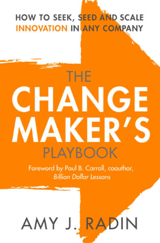 The Change Maker’s Playbook by Amy J. Radin - Book Cover