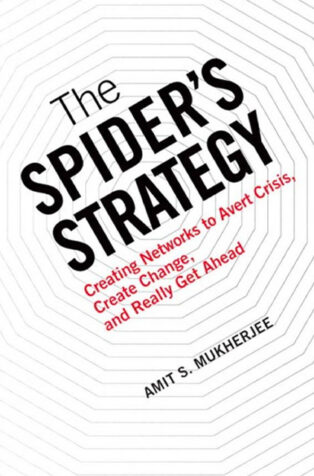 The Spider’s Strategy by Amit Mukherjee - Book Cover