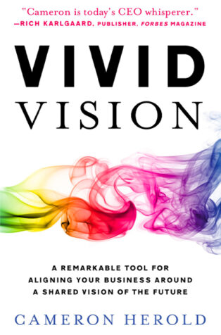 Vivid Vision by Cameron Herold - Book Cover